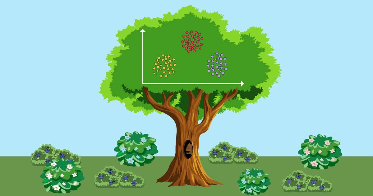 Biodiversity Question Set