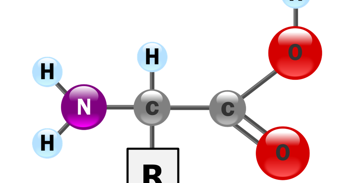 Amino Acid Structure