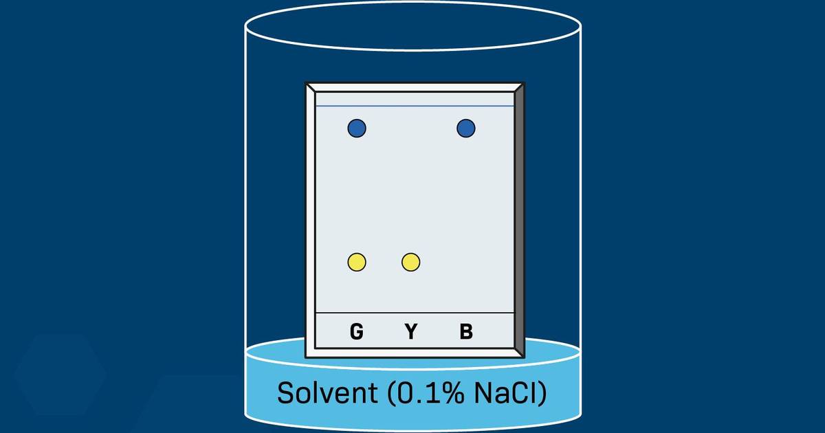 Chromatography Is a Technique Used to Separate Mixtures