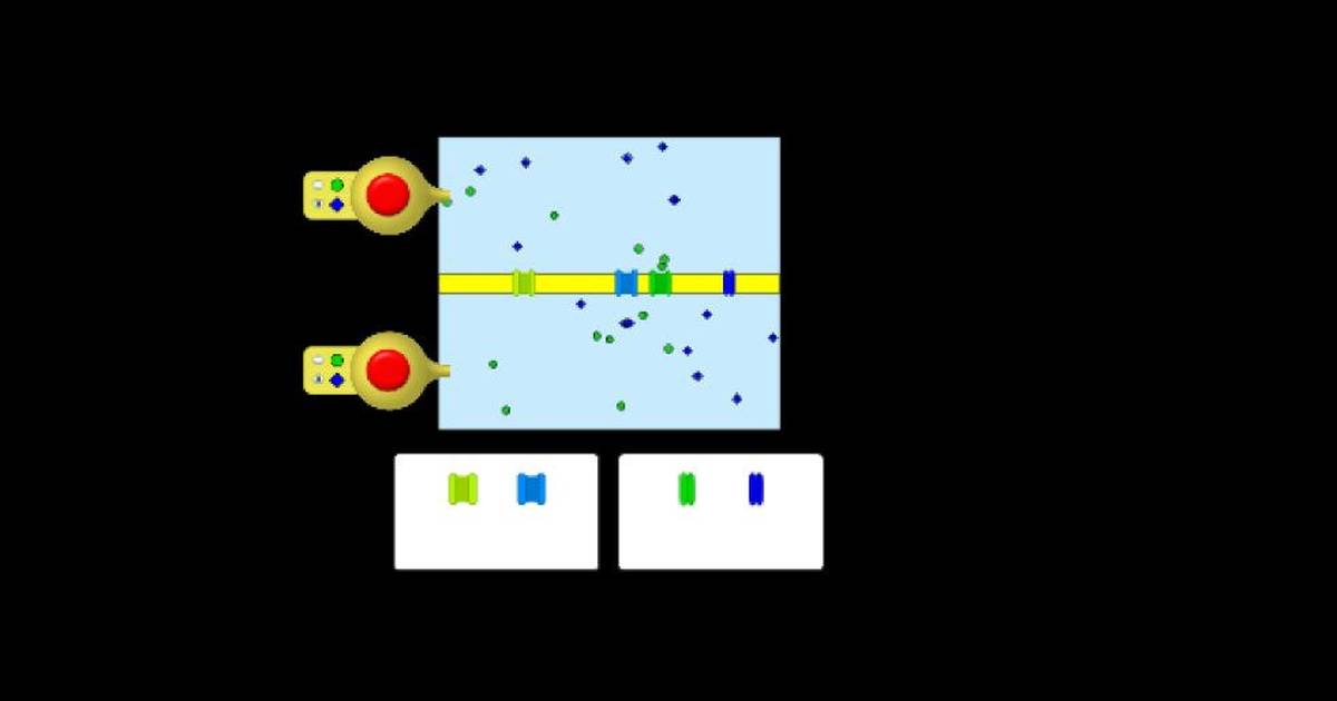 Membrane Channels