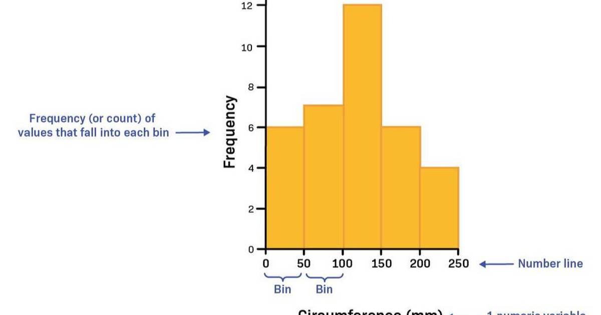 Worksheet: How to Interpret Histograms