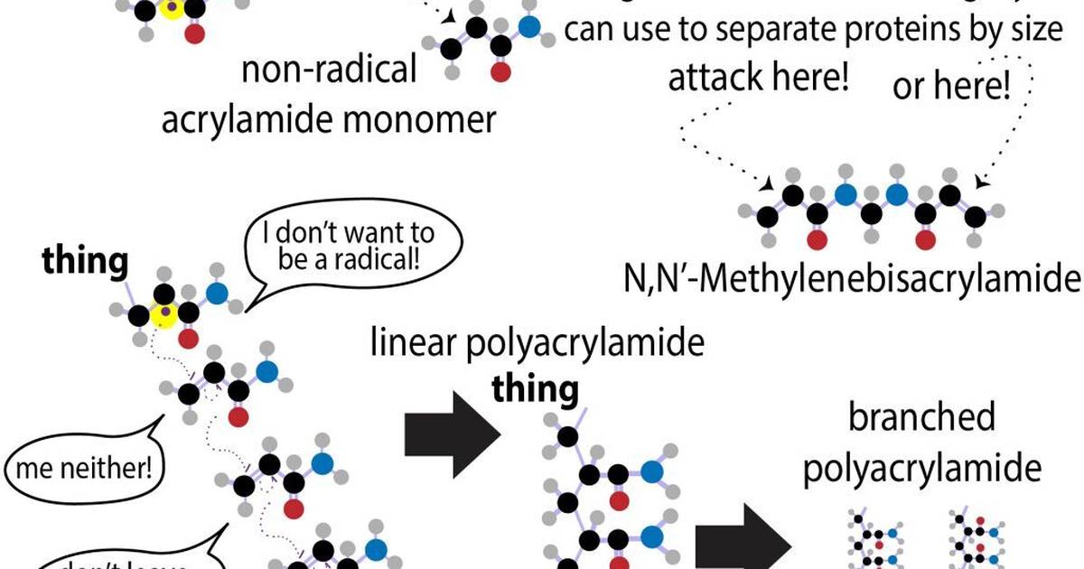 Infographics: Acrylamide to Polyacrylamide