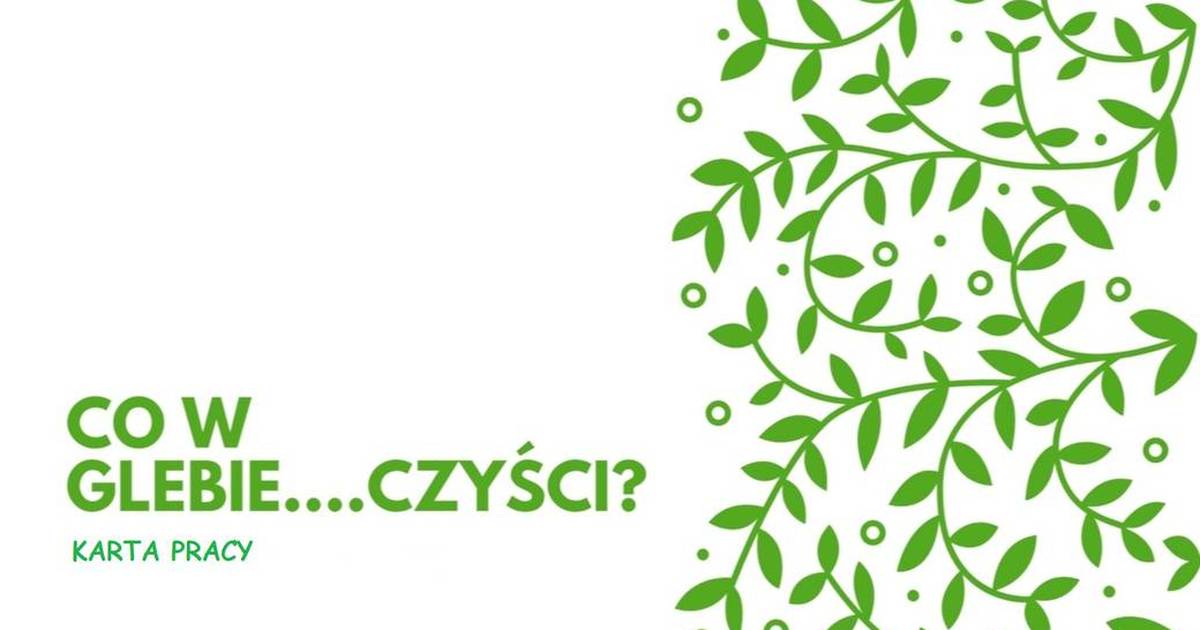 Karta pracy IBSE