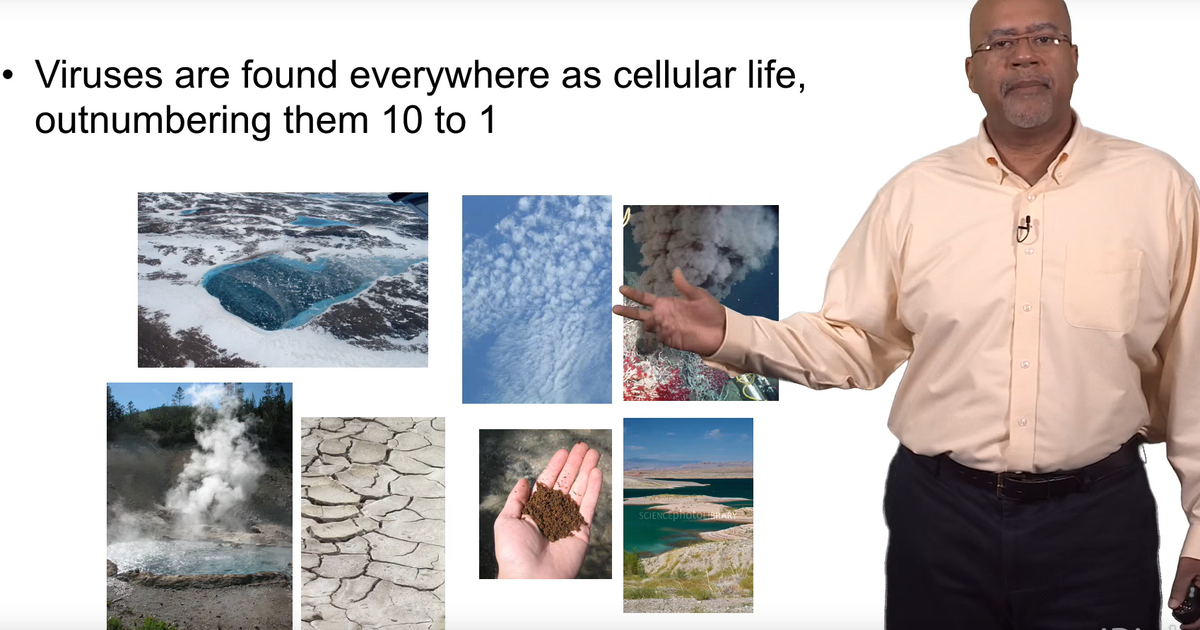 Introduction to Virus Ecology and Evolution
