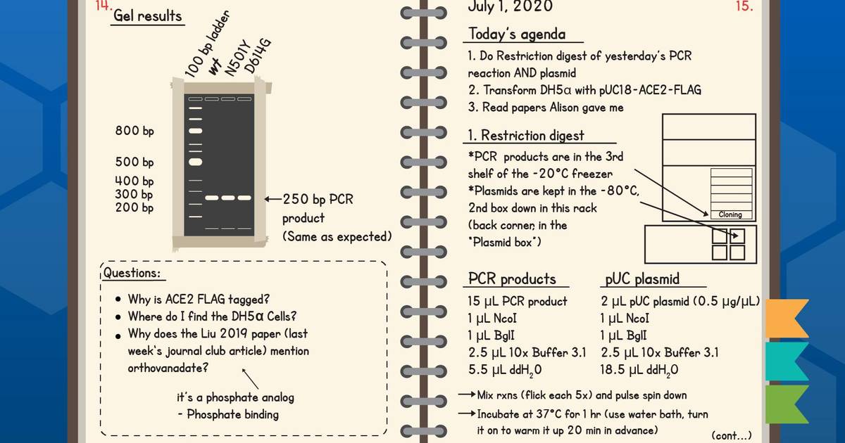 How to Keep a Great Lab Notebook: What Is a Great Lab Notebook?