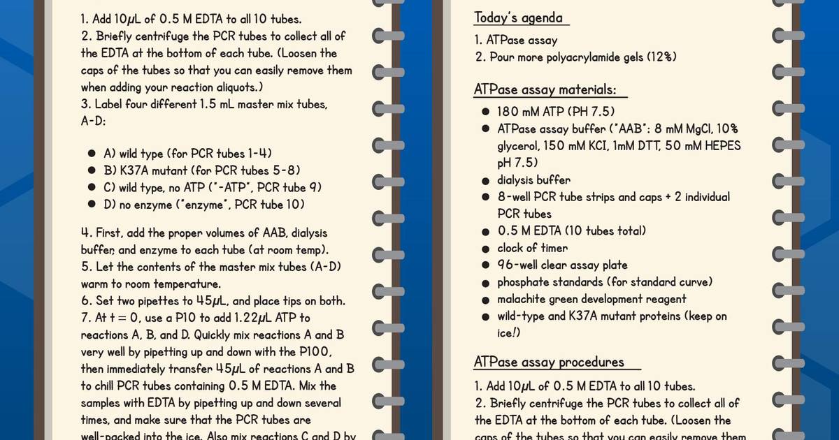 Check Your Understanding: How to Keep a Great Lab Notebook