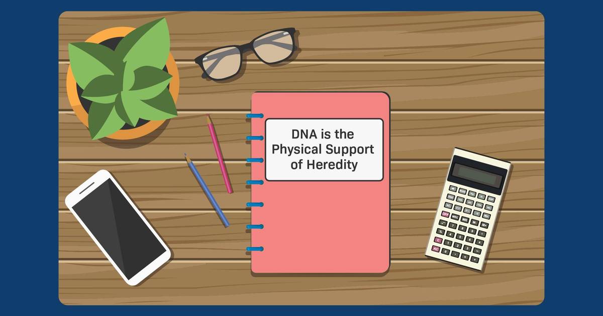 DNA: Physical Support of Heredity