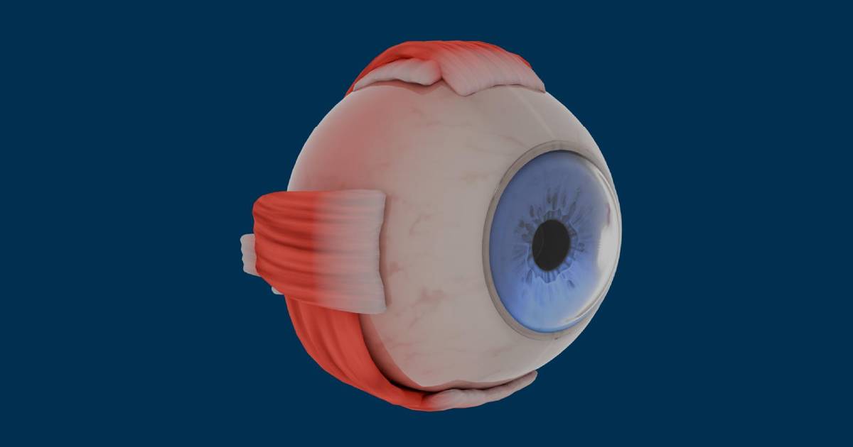 3D Exploration of Eye Structure and Function
