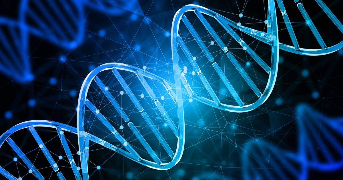 Transcription Process Overview