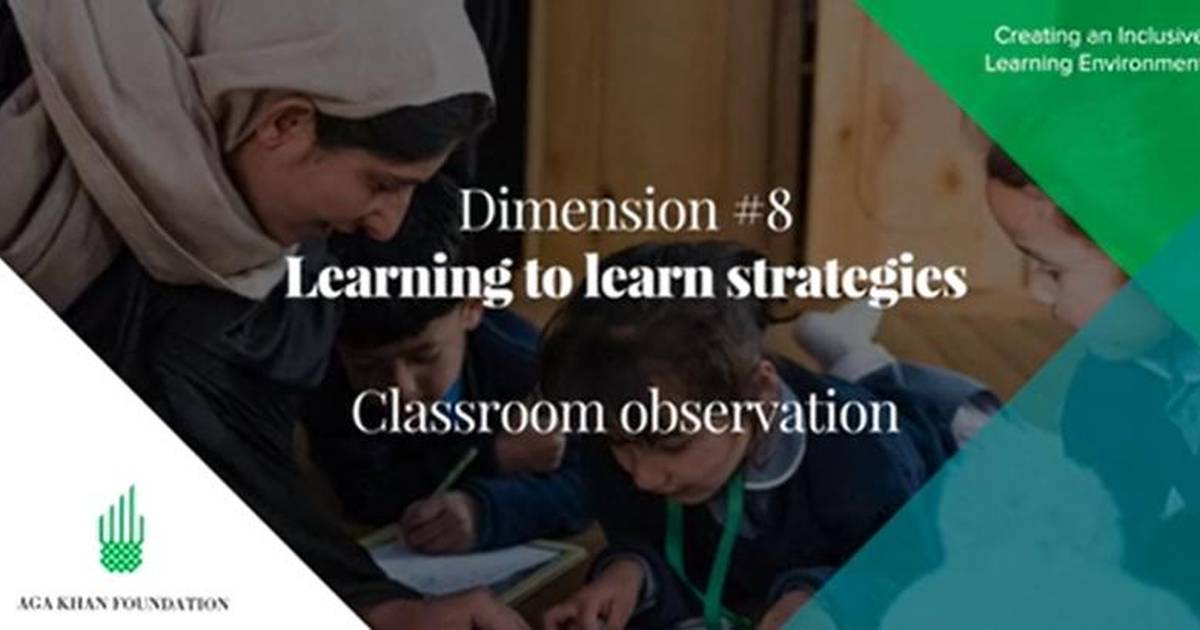 Learning to Learn Strategies: Classroom Observation
