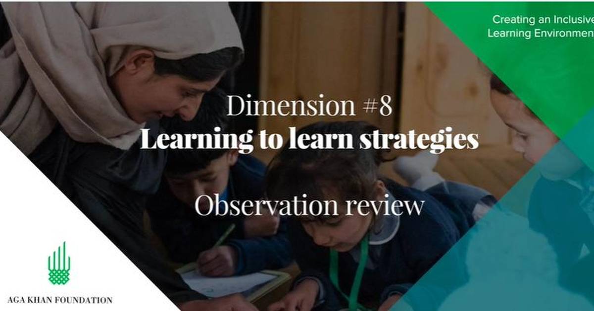 Learning to Learn Strategies: Observation Review