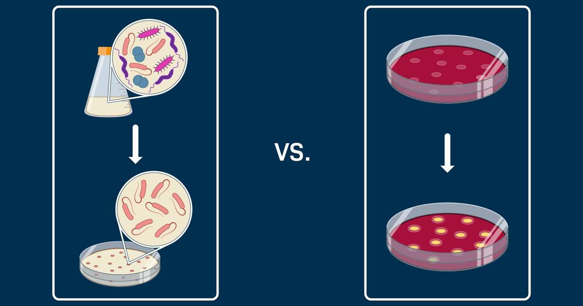 Identifying Microbes: Selective vs. Differential Growth Media