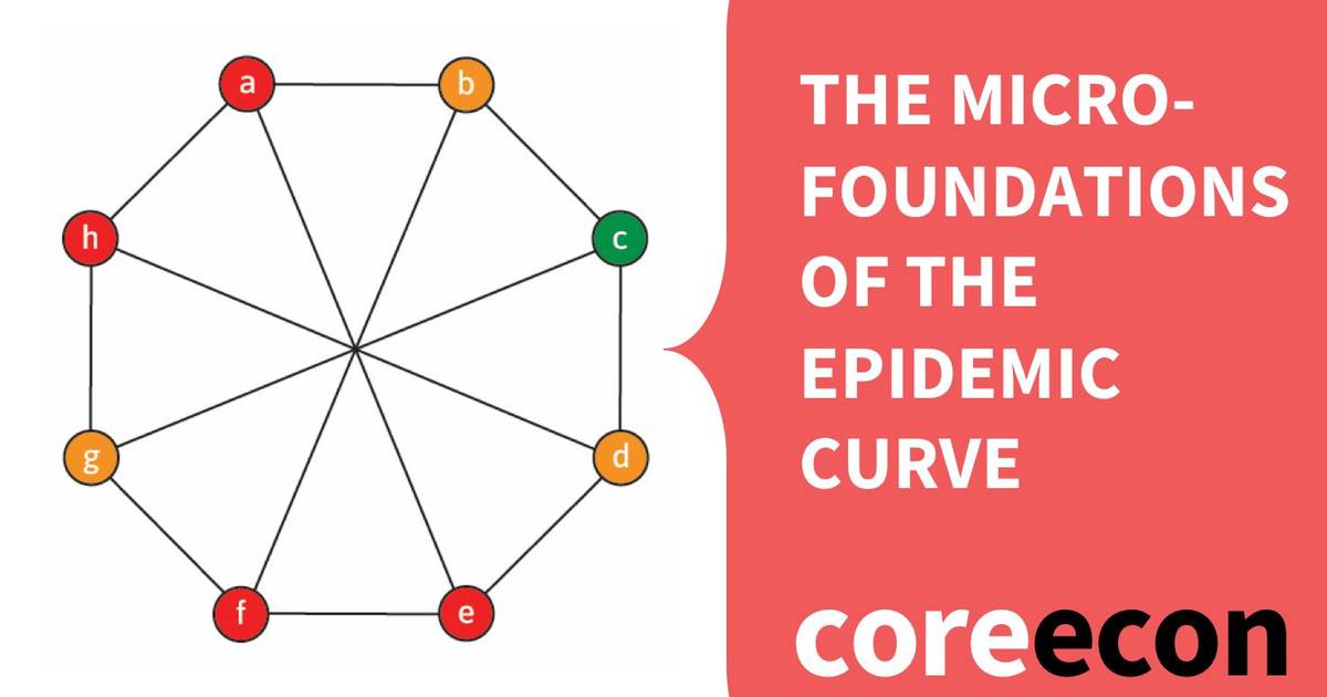 The ‘Microfoundations’ of the Epidemic Curve – How Does the Virus Spread at the Individual Level?