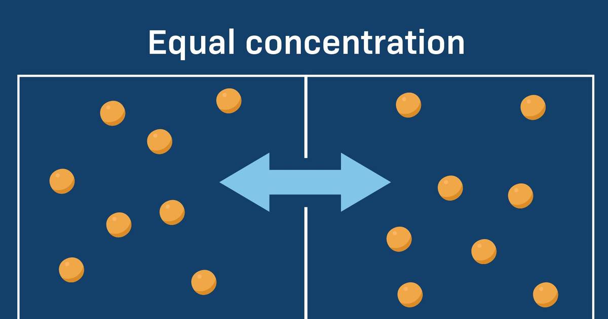 Diffusion and Transpiration