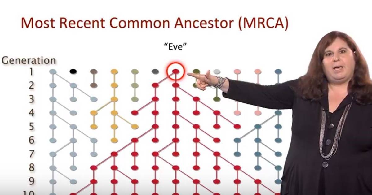 African Genomics: Human Evolution Part I