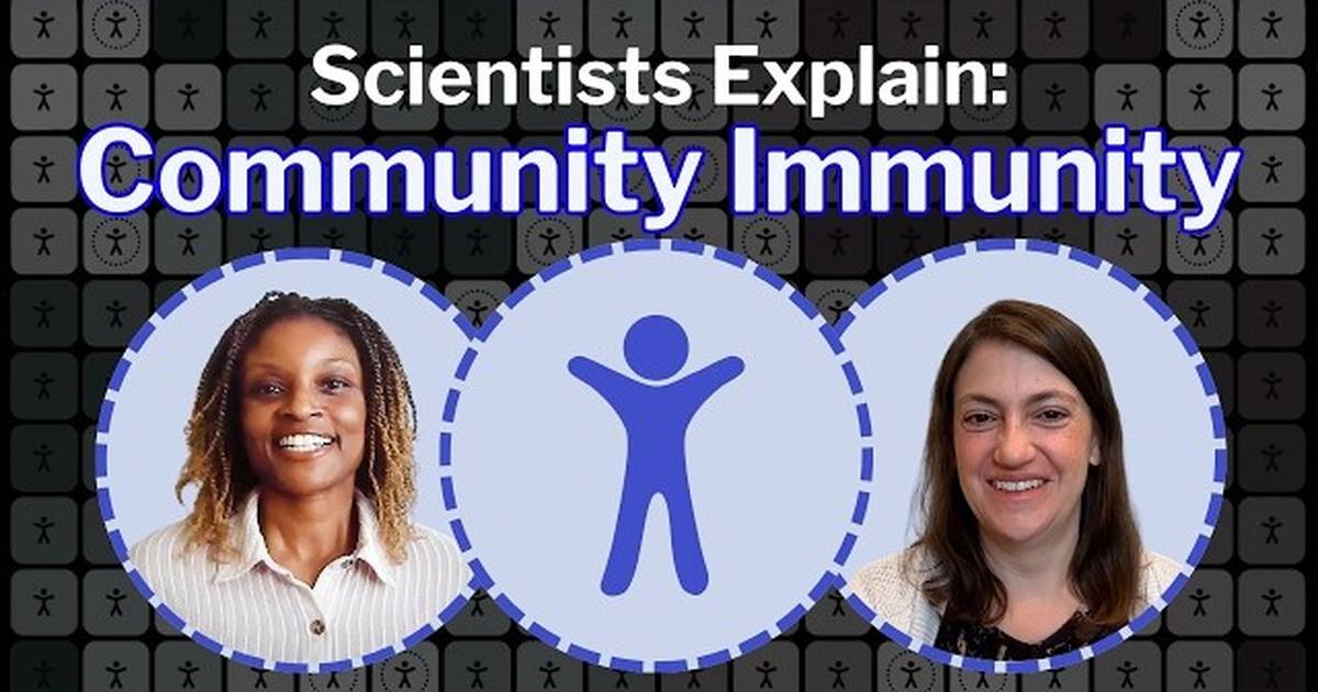 Why Outbreaks Still Happen: Simulating Community Immunity in Real Time