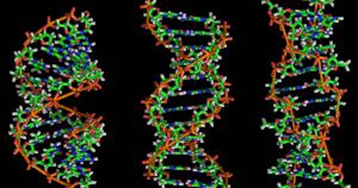 Exploring Epigenetics: DNA Methylation and Cancer