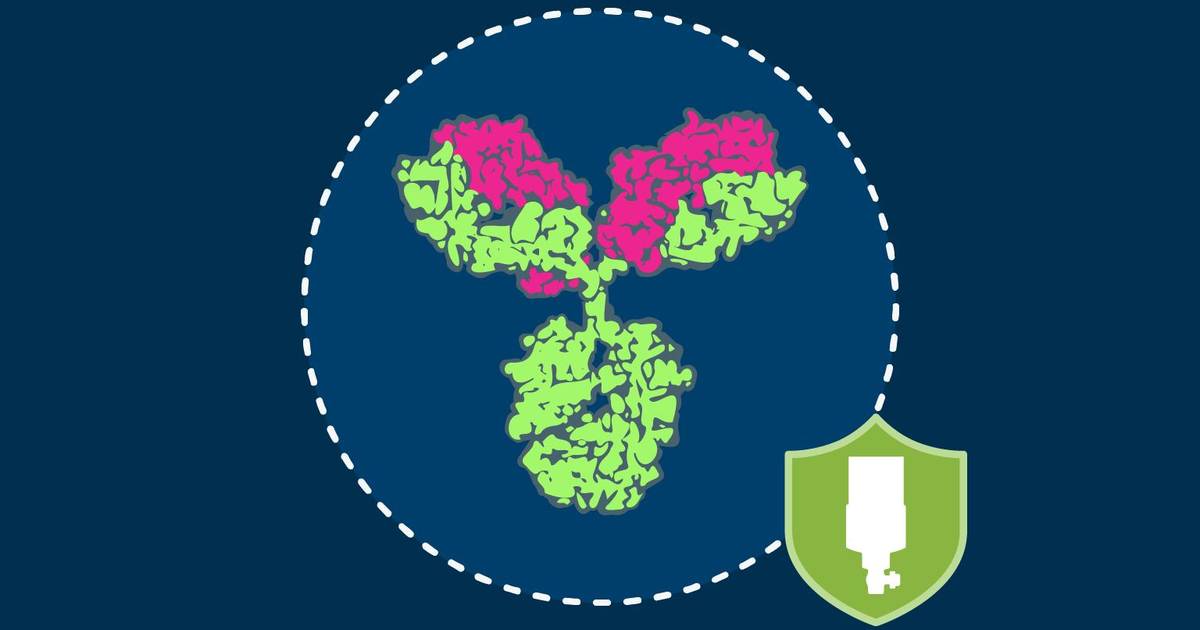 Purification of a Therapeutic Protein