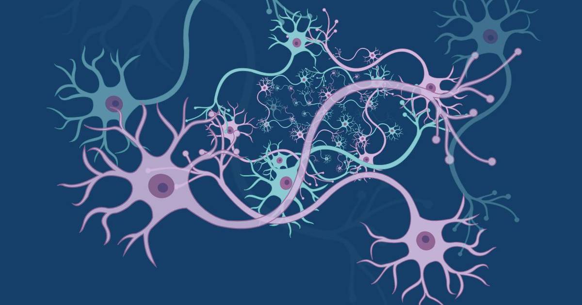 Action Potentials: A Visual Introduction