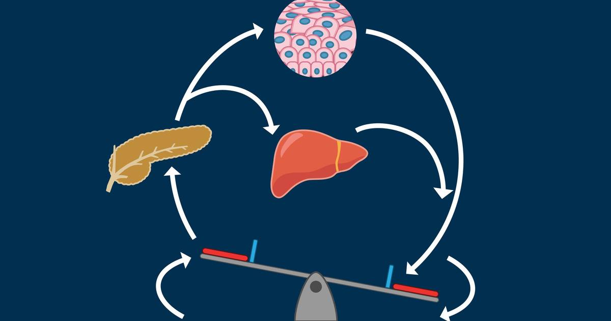 Homeostasis and Feedback Loops