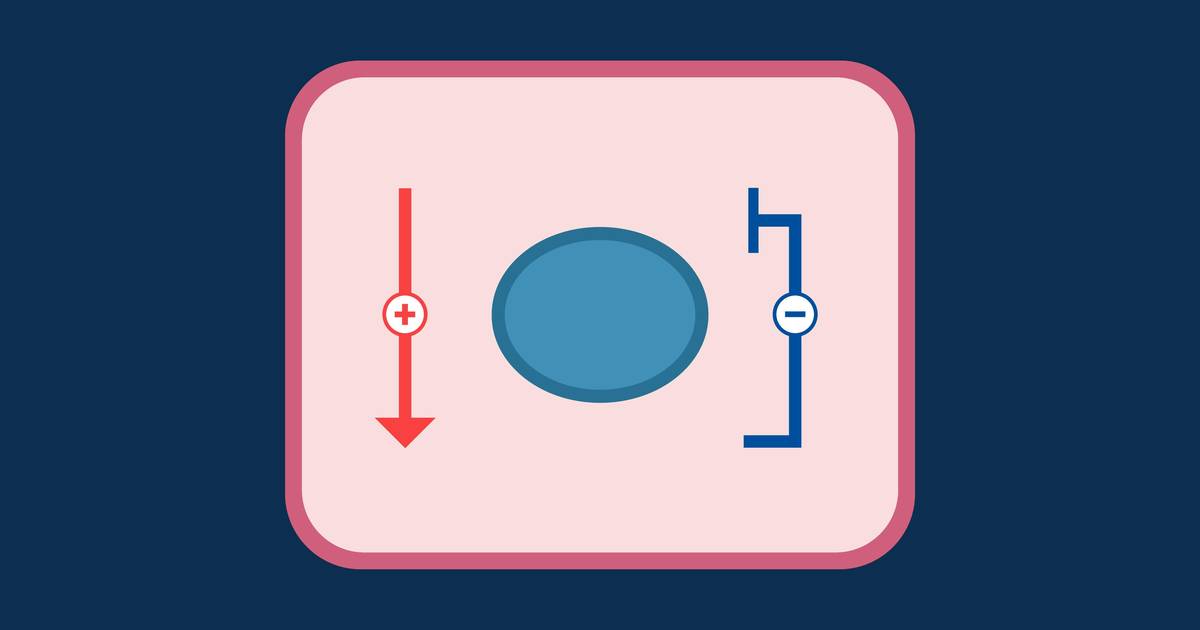 Feedback Loops at the Molecular Level