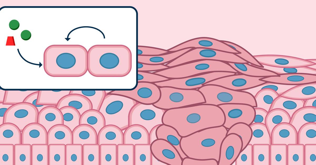 Intercellular Communication and Cancer