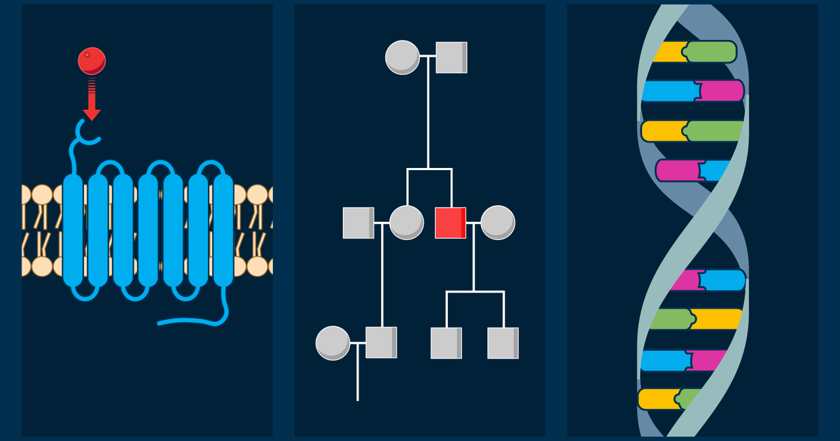 Cell Communication, Heredity, and Gene Expression