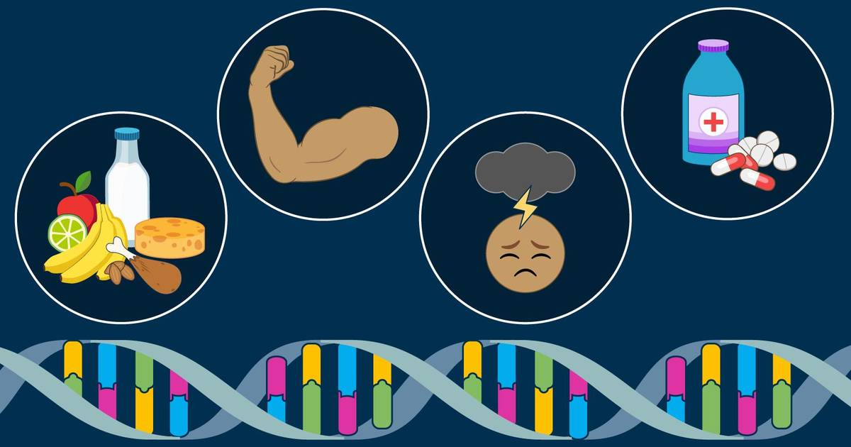 Environmental Effects on Phenotype