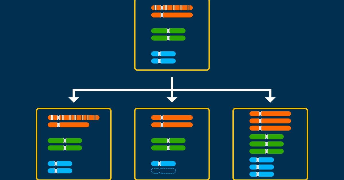 Chromosomal Inheritance and Genetic Disorders