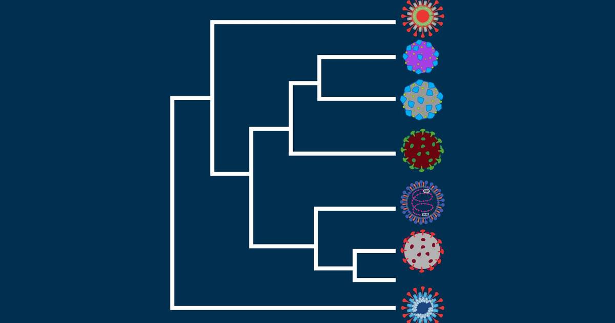Molecular Data and Phylogenetic Trees