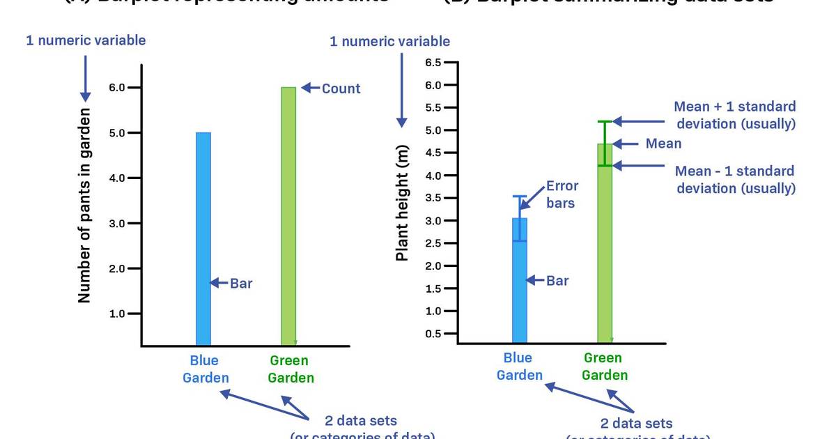 How to Interpret Barplots