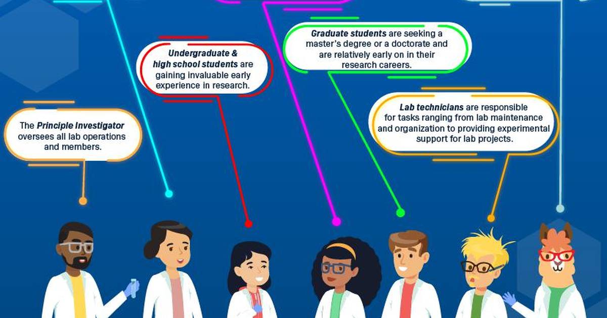 Lab Roles