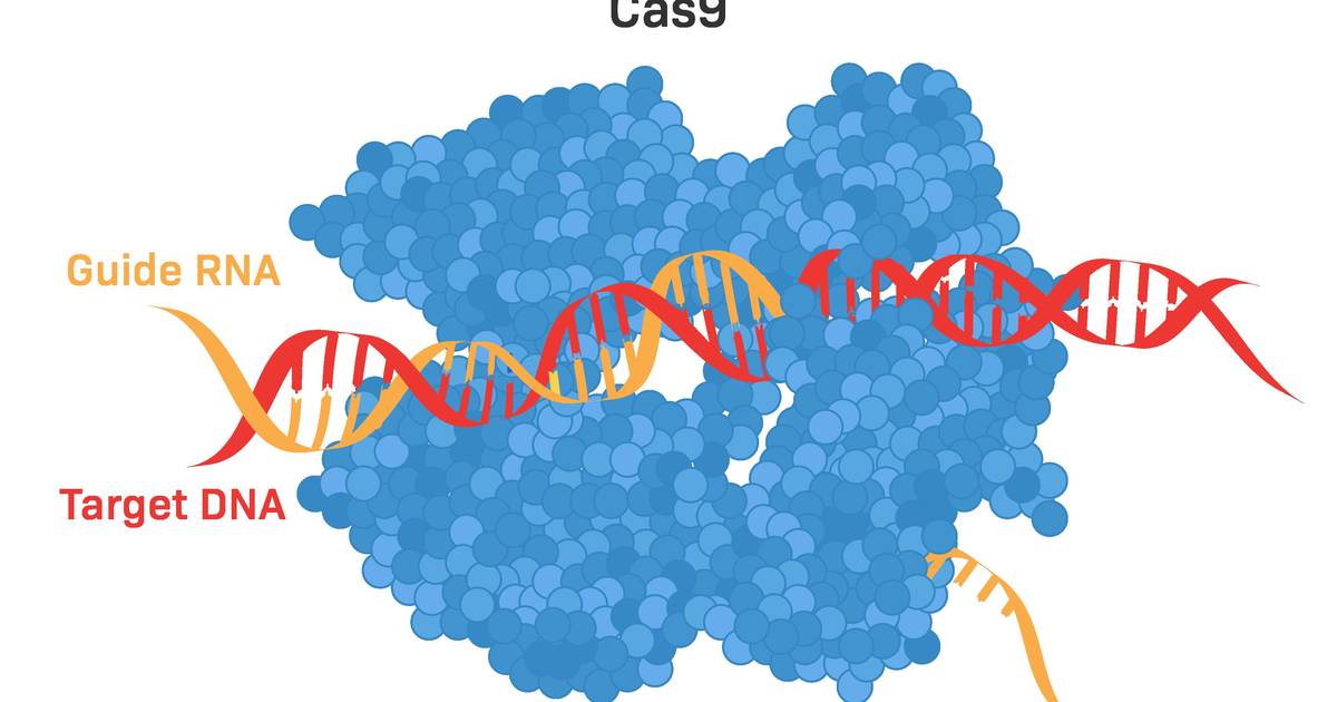 Gene Editing With CRISPR-Cas9