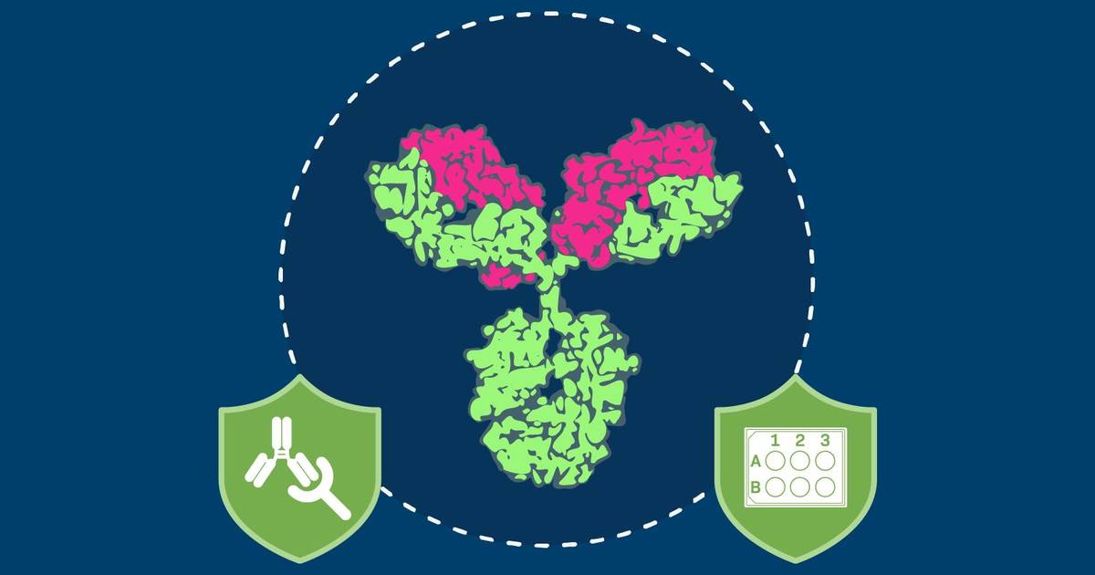 Testing Therapeutic Proteins for Biological Activity