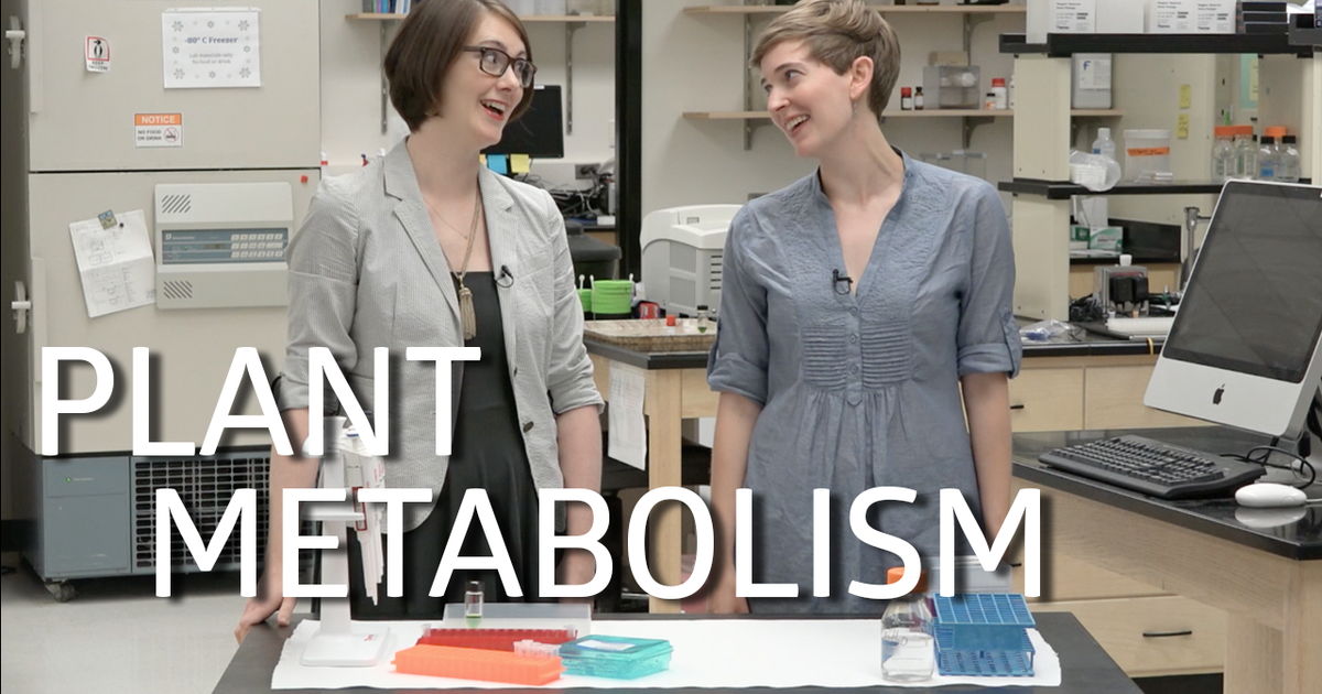 Plant Metabolism! GCMS!
