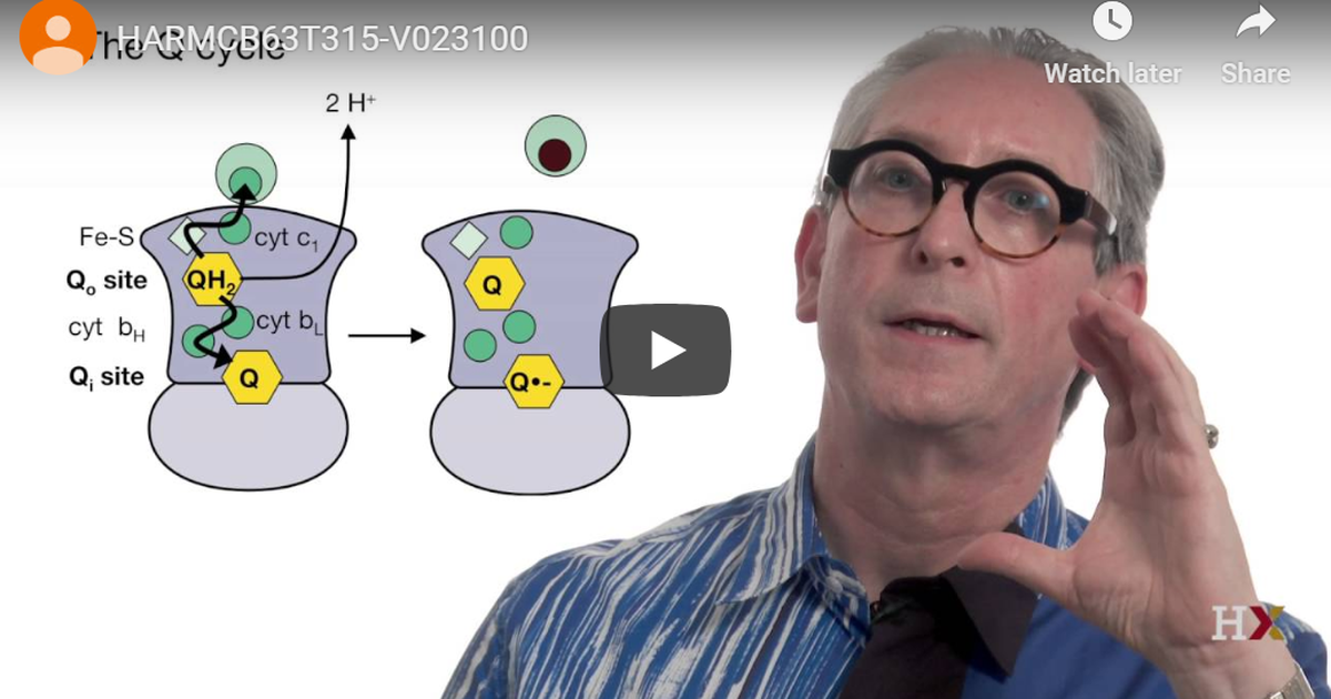 Electron Transport Chain