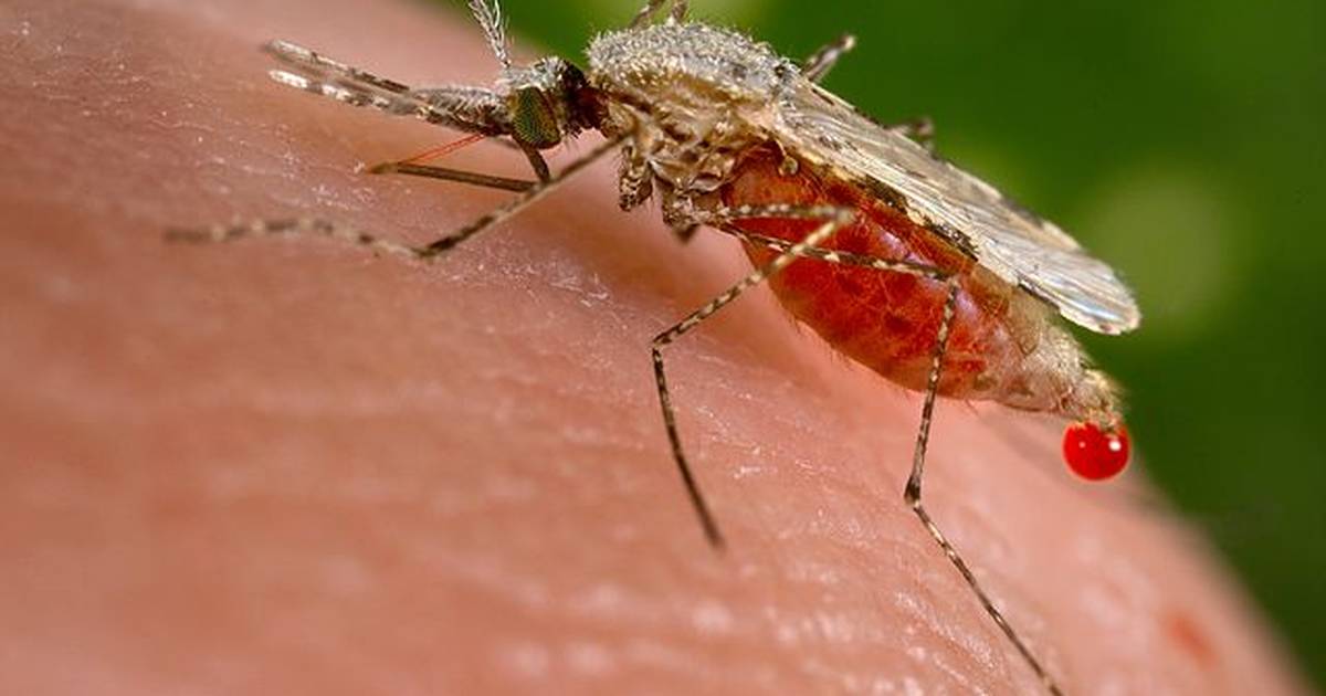 CRISPR-Cas9 Has Many Different Uses