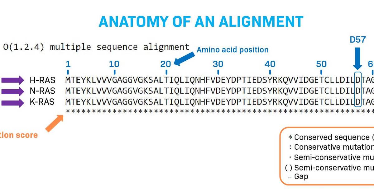 How to Interpret a Sequence Alignment