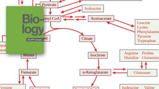 does melanotan 2 work without tanning how much melanotan 2 should i take Melanotan