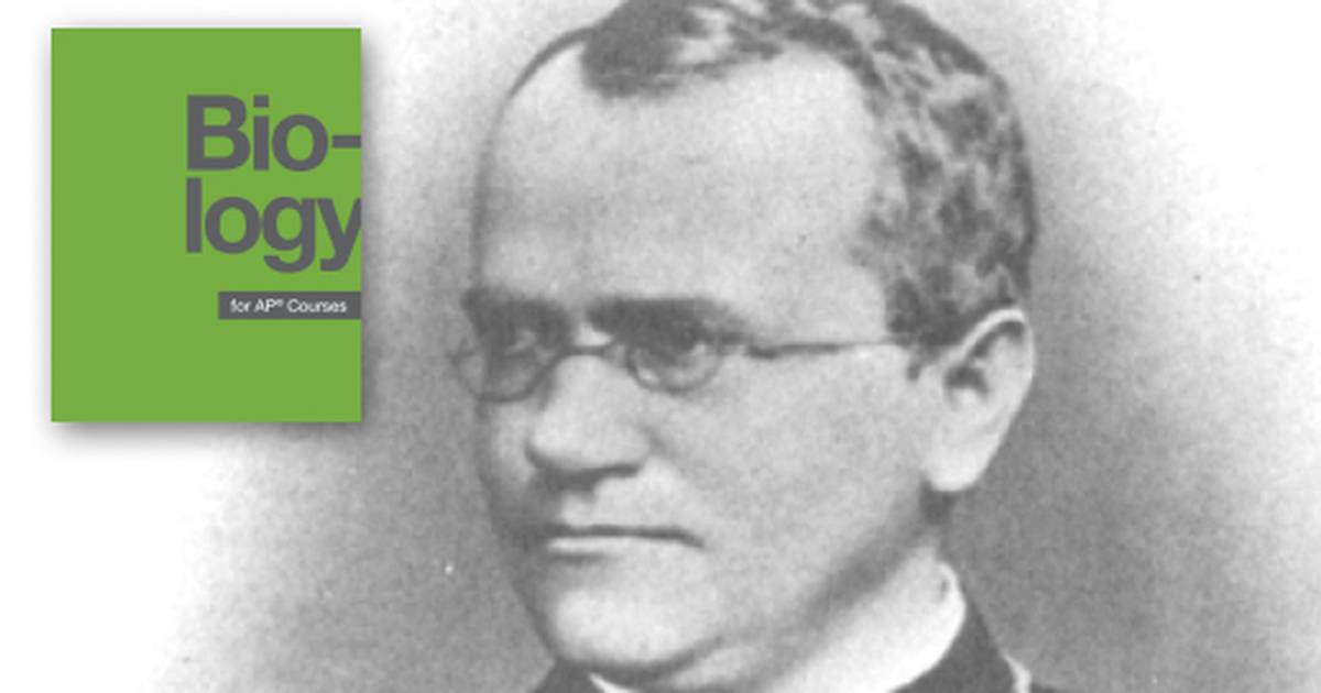 Mendel’s Experiments and the Laws of Probability