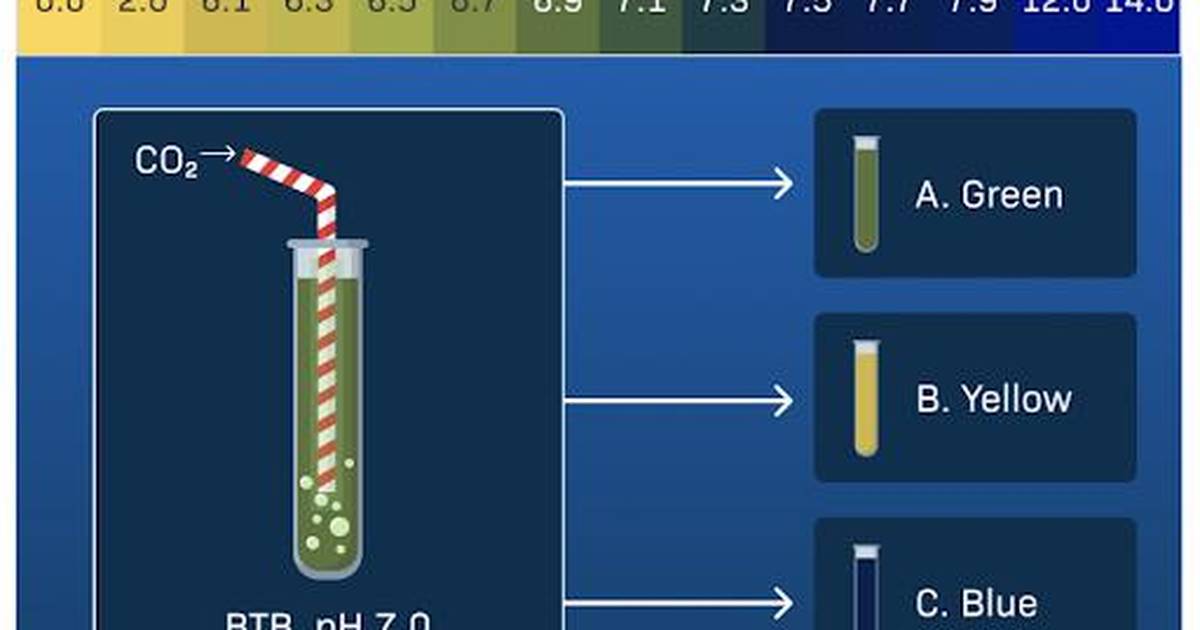 How Does the pH of a BTB Solution Change When Carbon Dioxide Is Blown Into It?