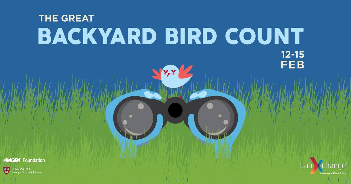 The Great Backyard Bird Count