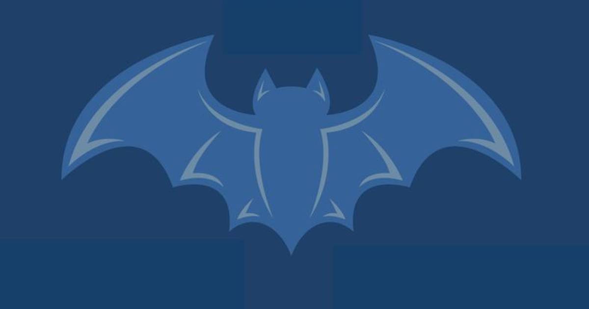 Bat Flight, DNA Damage, and Reduced Inflammation