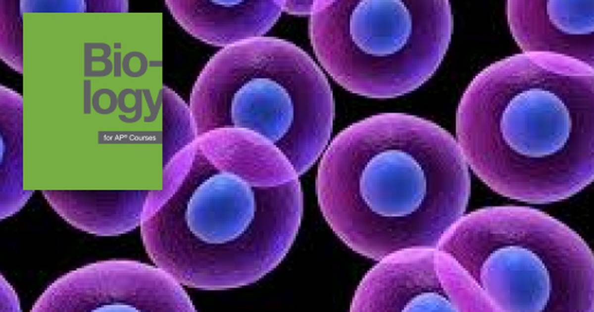Key Terms Related to Biological Macromolecules