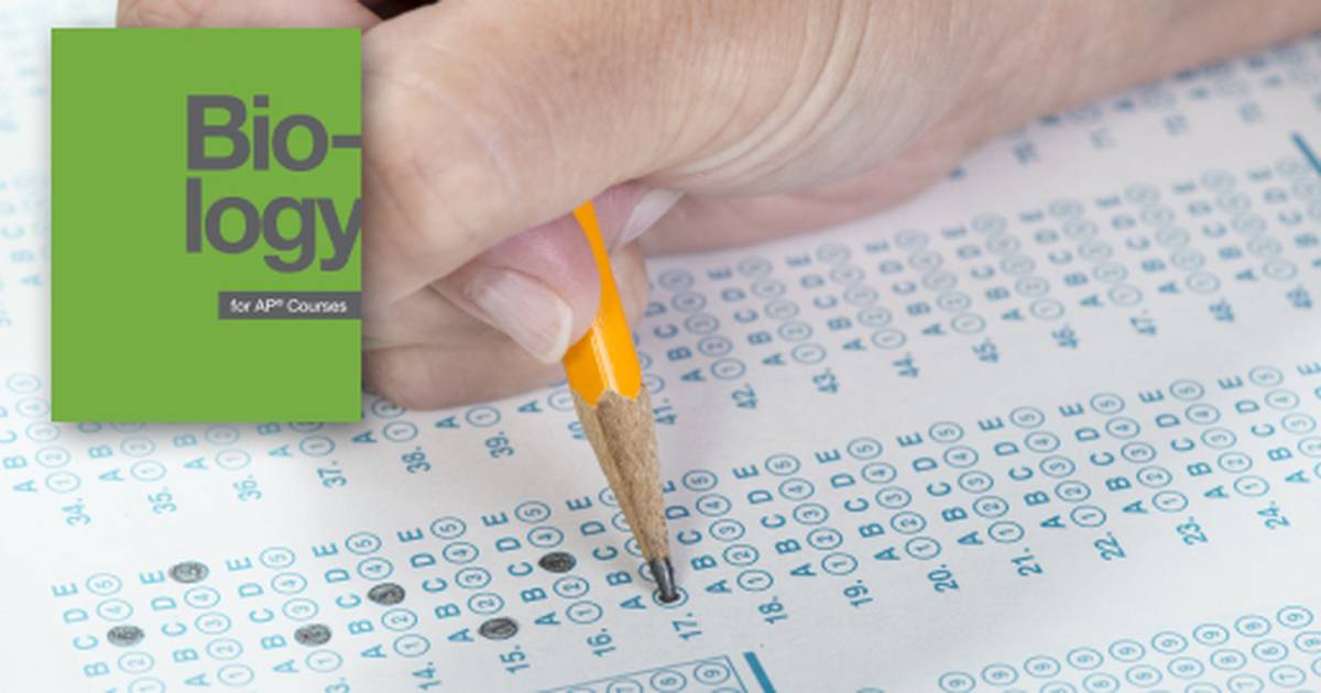 Critical Thinking Questions About Biological Macromolecules