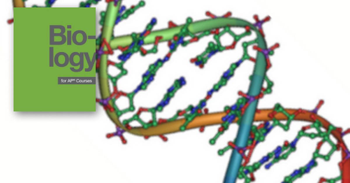 Nucleic Acids and Their Functions