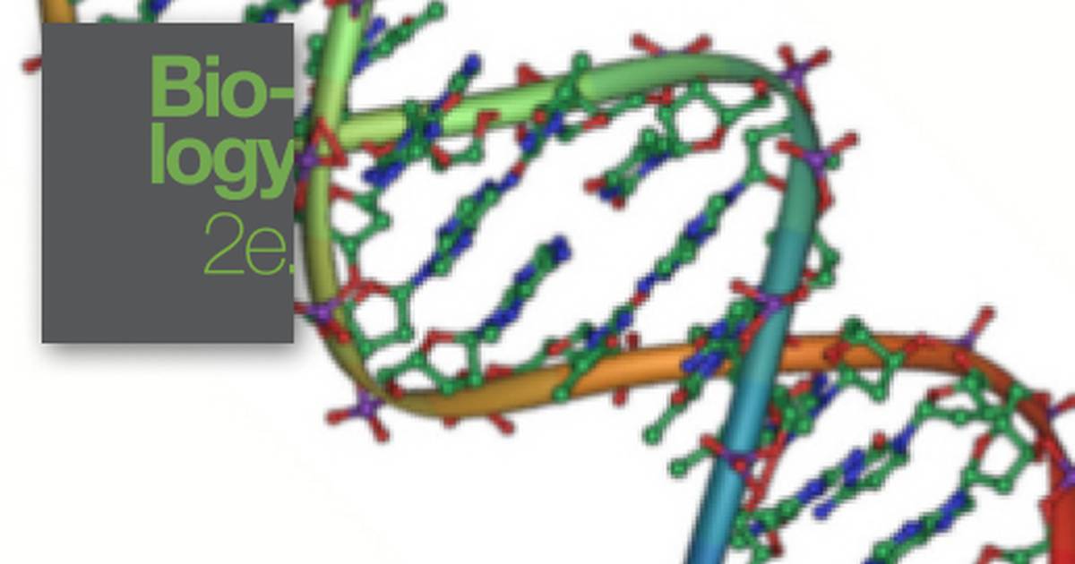 Nucleic Acids