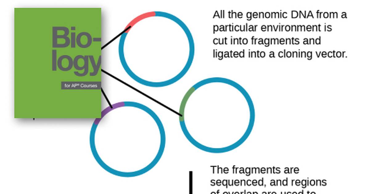 Applying Genomics in Predicting Disease Risk