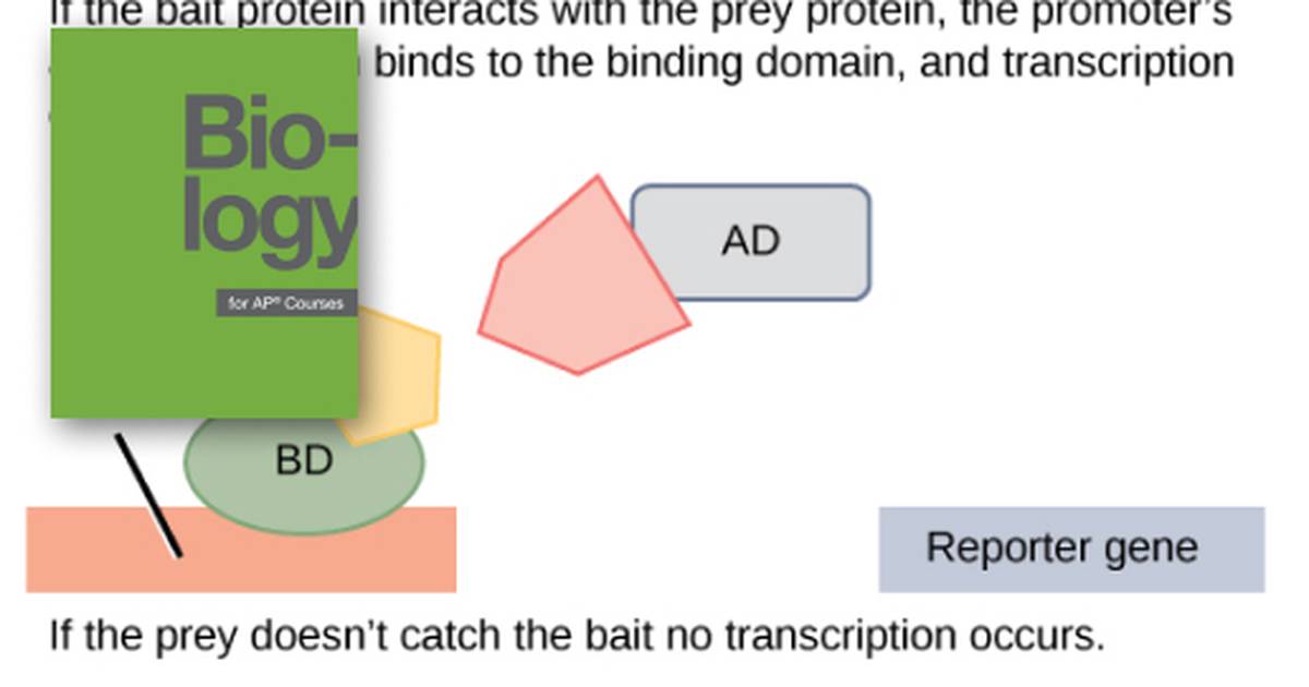Genomics and Proteomics