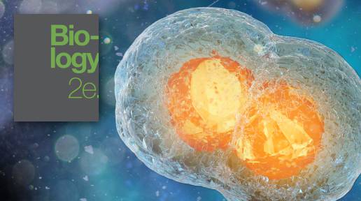 Reproducing Cells